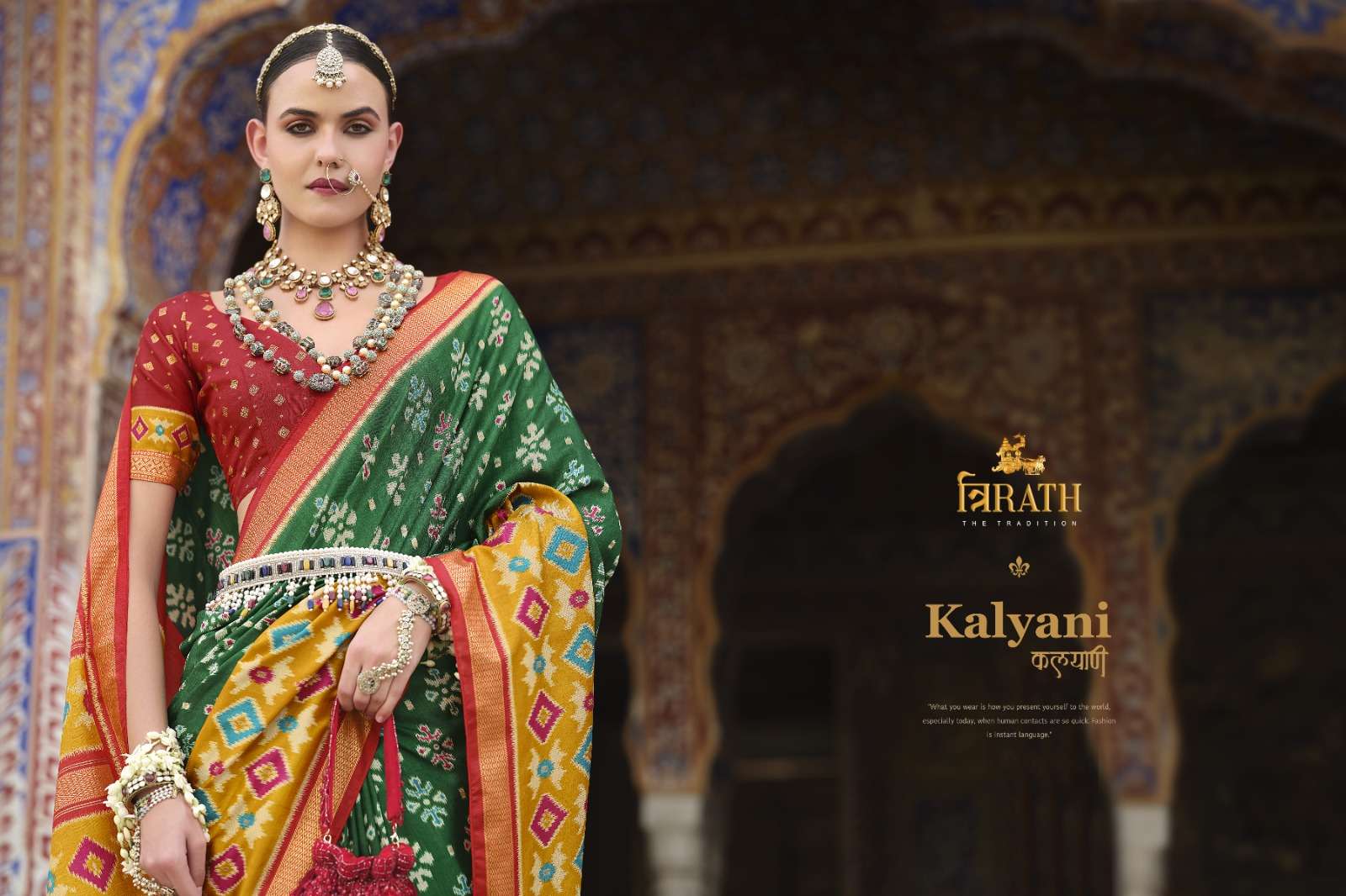 TRIRATH PRESENT KALYANI FANCY PATOLA SAREES CATALOG WHOLESALER AND EXPORTER IN SURAT  
