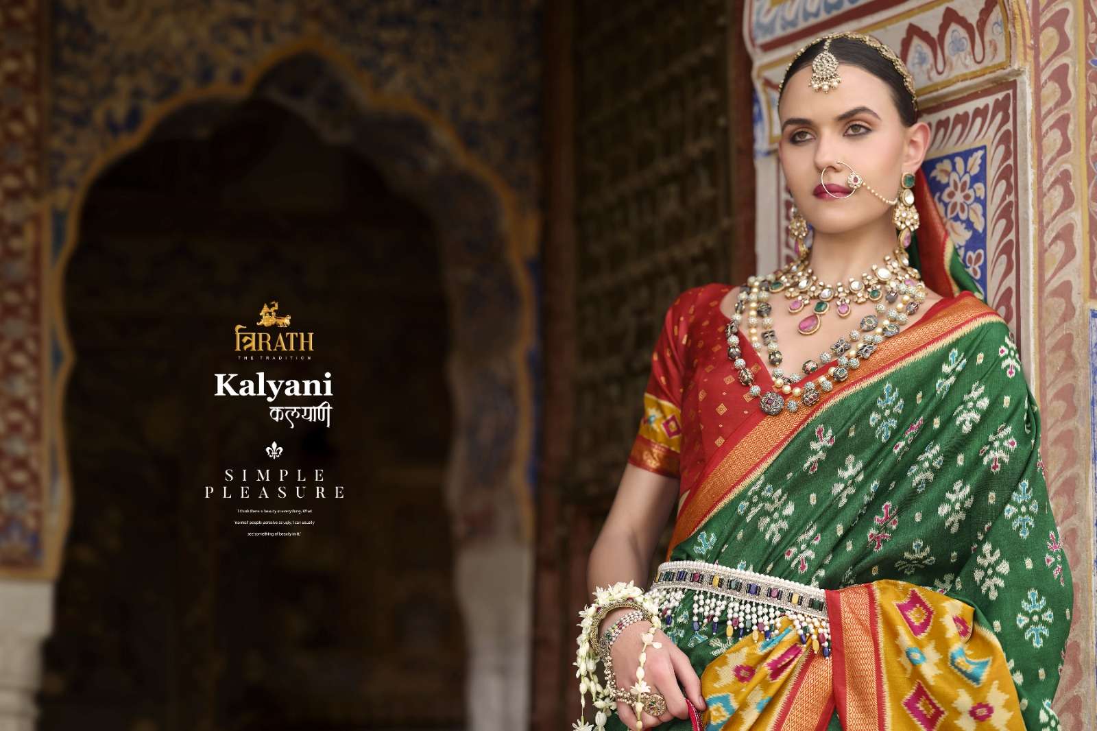 TRIRATH PRESENT KALYANI FANCY PATOLA SAREES CATALOG WHOLESALER AND EXPORTER IN SURAT  