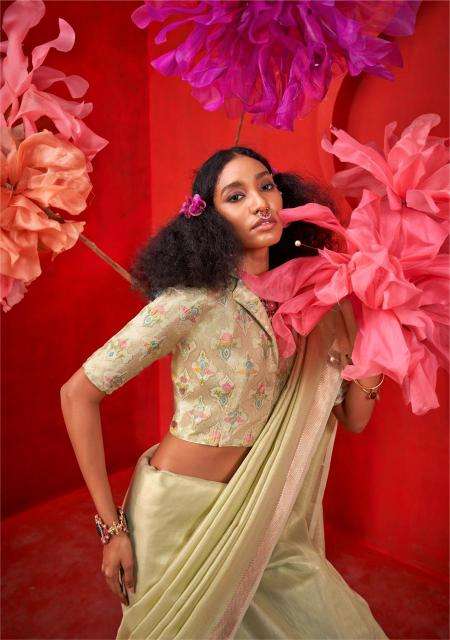 Rajtex Presents kronis Tissue Handloom Party Wear Saree Catalog Wholesaler And Exporter In Surat