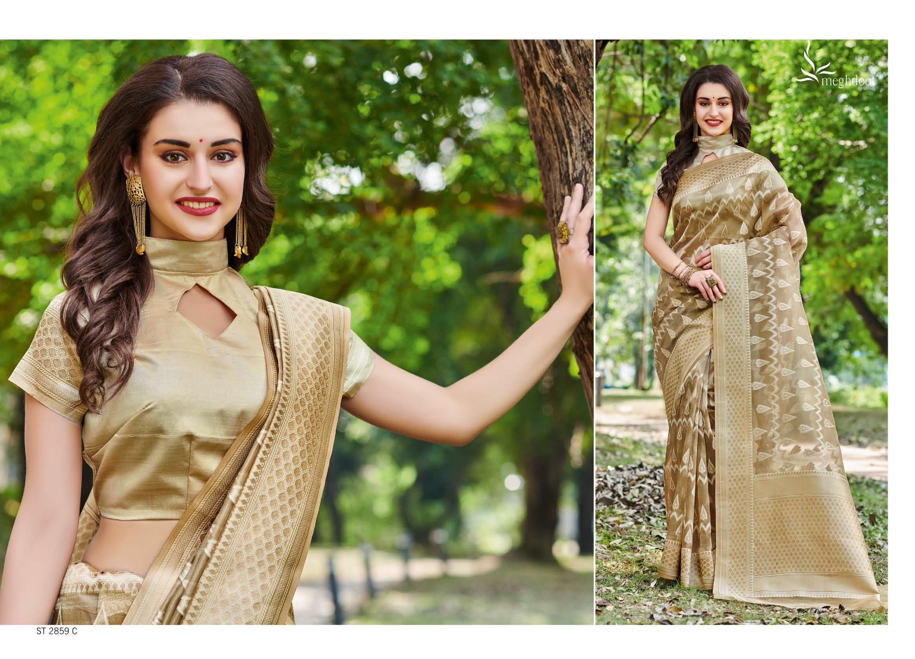 Meghdoot Presents Spark 2211 To 2896 South Indian Style Silk Sarees Catalog Wholesaler And Exporters